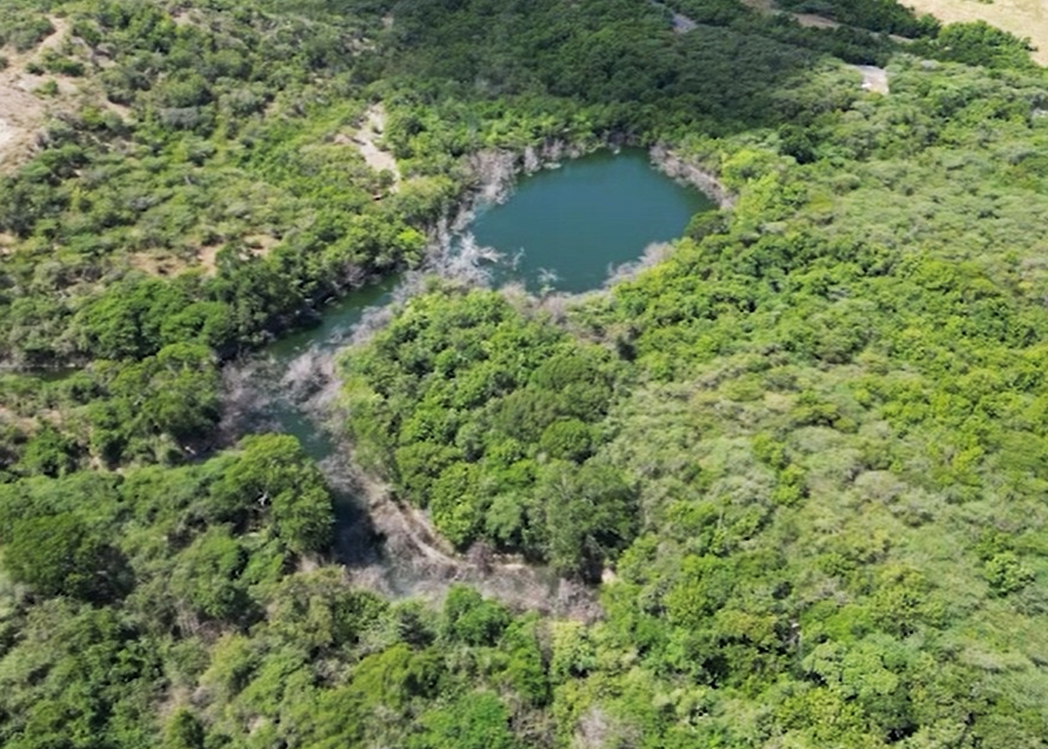 Organizaciones ambientales buscan rescatar el humedal de Majahual en Matanzas