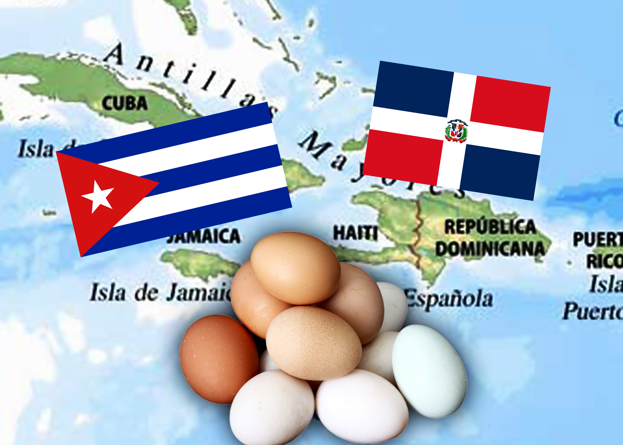 República Dominicana reinicia las exportaciones de huevos hacia Cuba