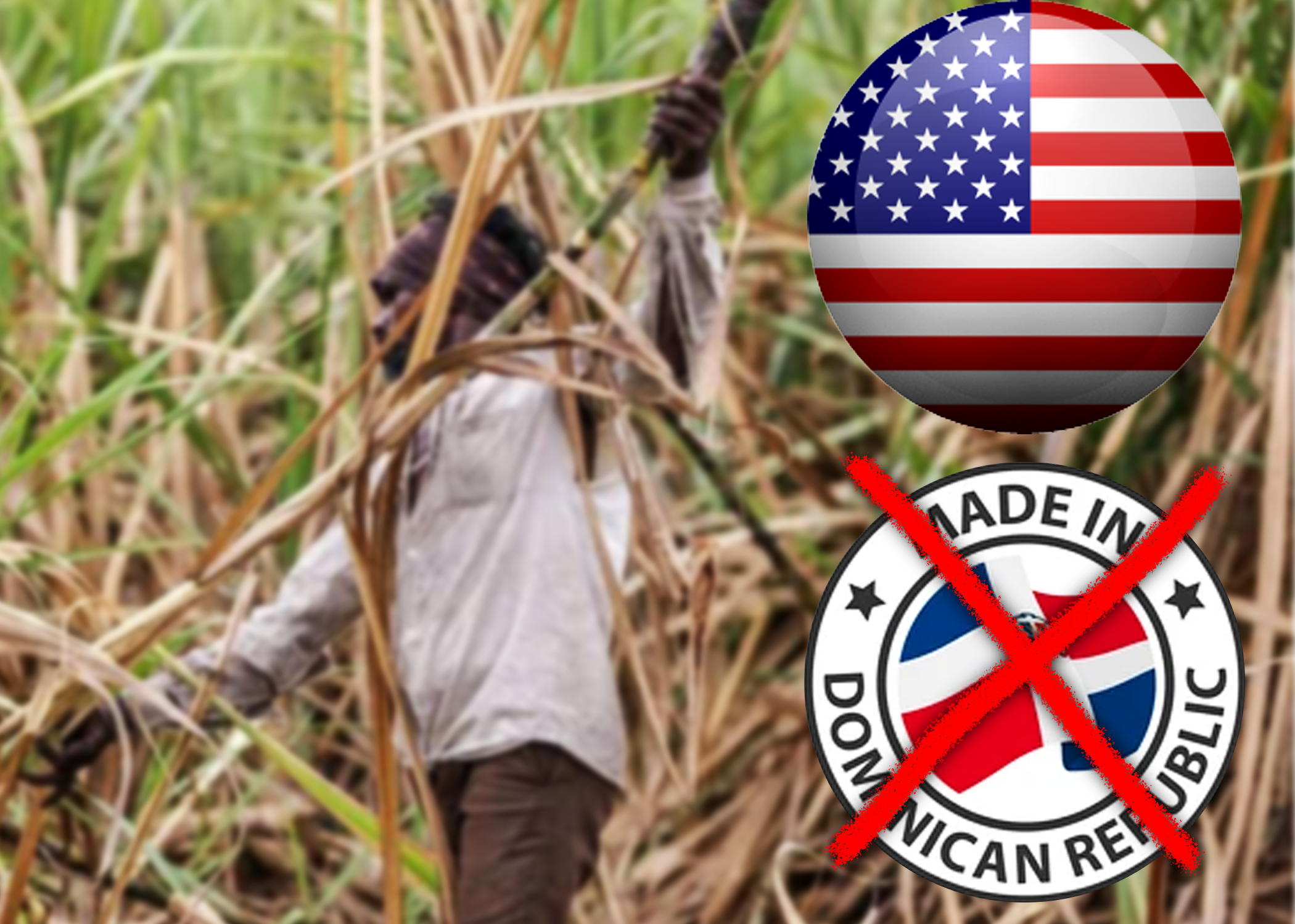 Grupo de derechos humanos piden que EE.UU prohíba importaciones por trabajo forzoso en Rep. Dom.