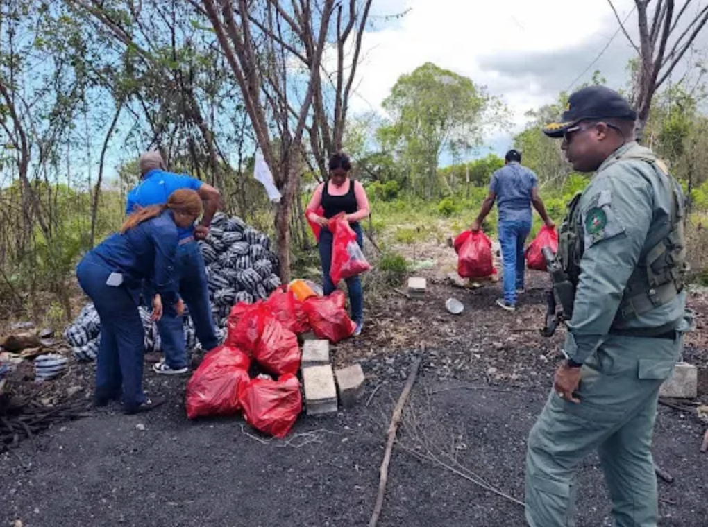 Medio Ambiente decomisa decenas de sacos de carbón vegetal en Cumayasa