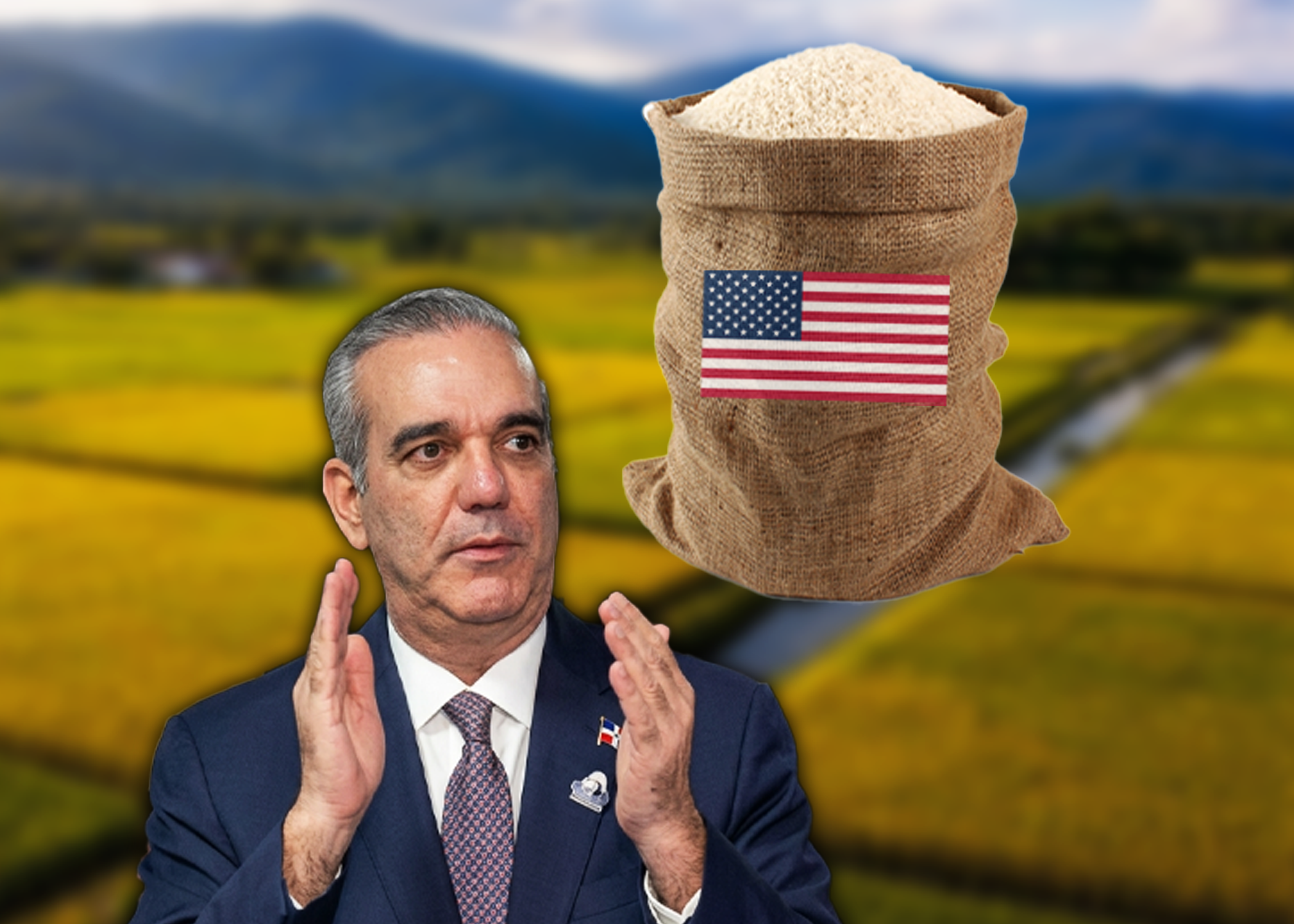 Presidente Abinader elimina aranceles al arroz importado de Estados Unidos